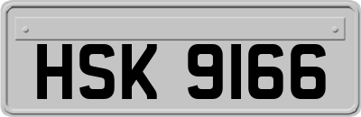 HSK9166