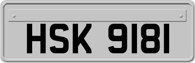 HSK9181