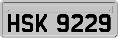 HSK9229
