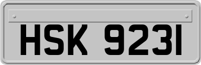 HSK9231