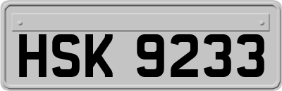 HSK9233