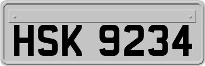 HSK9234