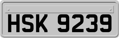 HSK9239
