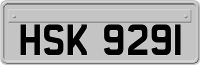 HSK9291