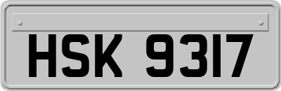 HSK9317