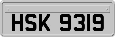 HSK9319