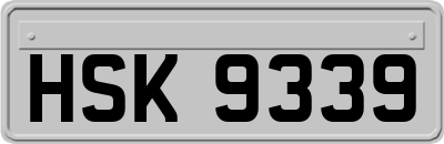 HSK9339