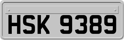 HSK9389