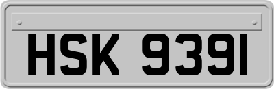 HSK9391
