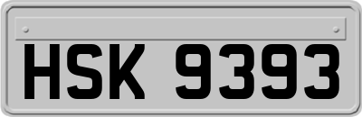 HSK9393