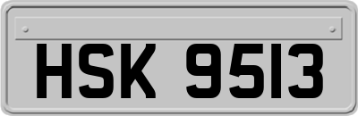 HSK9513