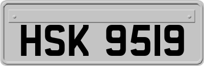 HSK9519