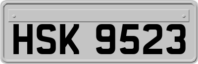 HSK9523