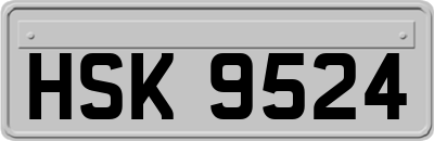 HSK9524