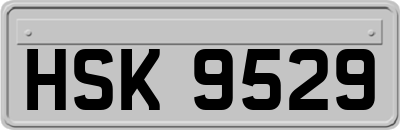 HSK9529