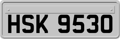HSK9530