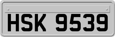 HSK9539