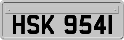 HSK9541