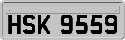 HSK9559