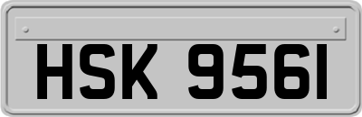 HSK9561