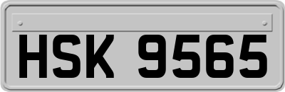 HSK9565