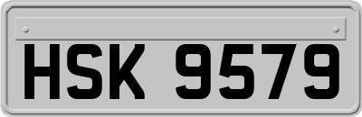 HSK9579