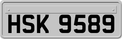 HSK9589