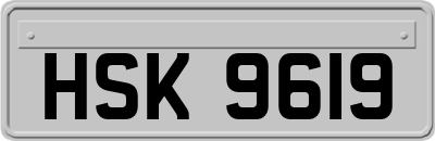 HSK9619