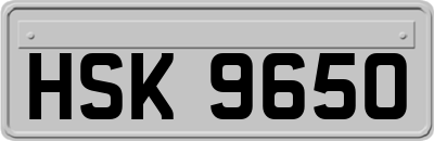 HSK9650