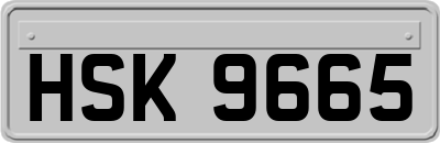 HSK9665