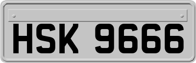 HSK9666