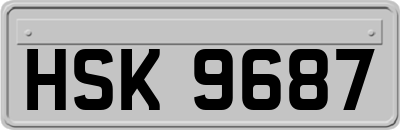 HSK9687