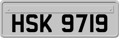 HSK9719