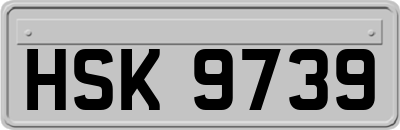 HSK9739