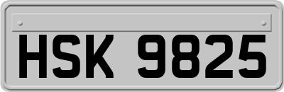 HSK9825