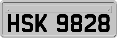HSK9828