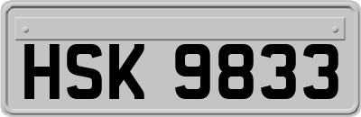 HSK9833