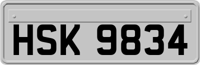 HSK9834