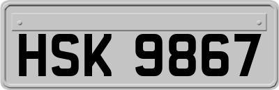 HSK9867