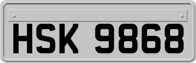 HSK9868