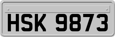 HSK9873