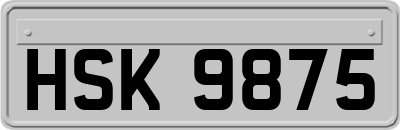 HSK9875
