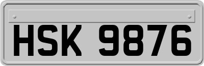 HSK9876