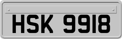 HSK9918