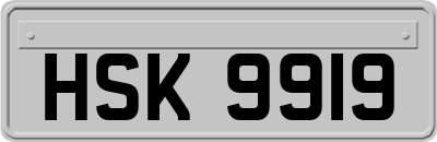 HSK9919