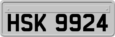 HSK9924