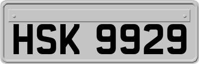 HSK9929