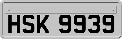 HSK9939