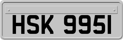 HSK9951
