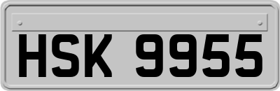 HSK9955